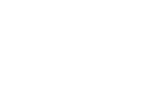 Bonex Unlu Mamülleri Logo