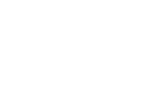 Forex Anatomic Logo