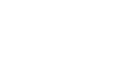 Shoes Heyzen Logo